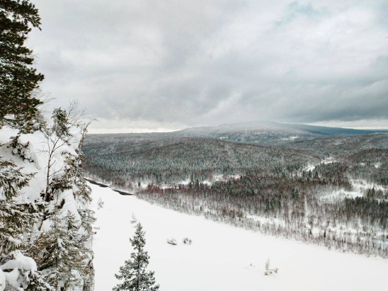 Внимание***‼️***