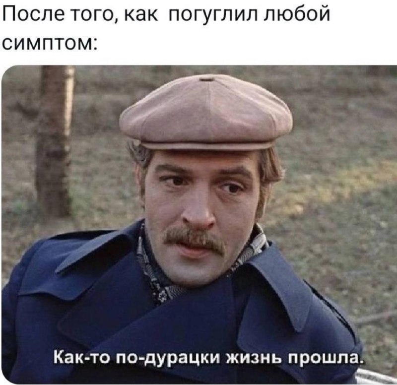 триджи хадид