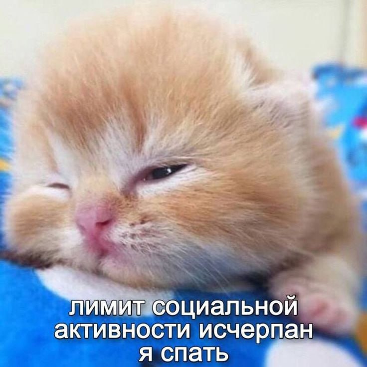 дота + майн через пару часов