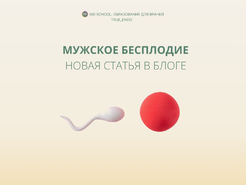 *****👨‍⚕️*******Мужское бесплодие: заглянем вглубь проблемы?**