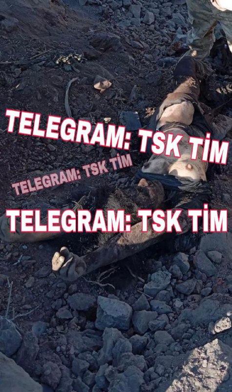 TSK TİM