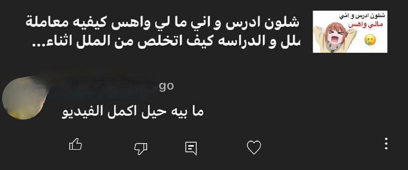 蛾