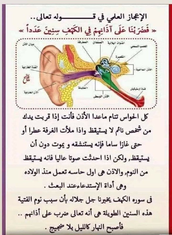 📚الامثل في تفسير كتاب الله المنزل …
