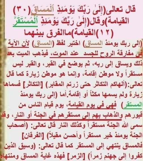 📚الامثل في تفسير كتاب الله المنزل …