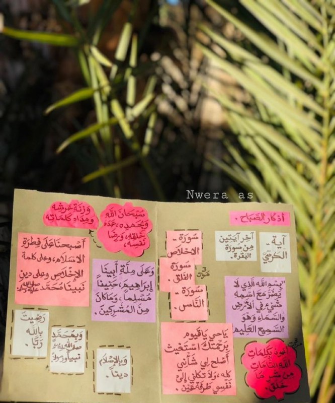 طُوبَى | Tubaa.