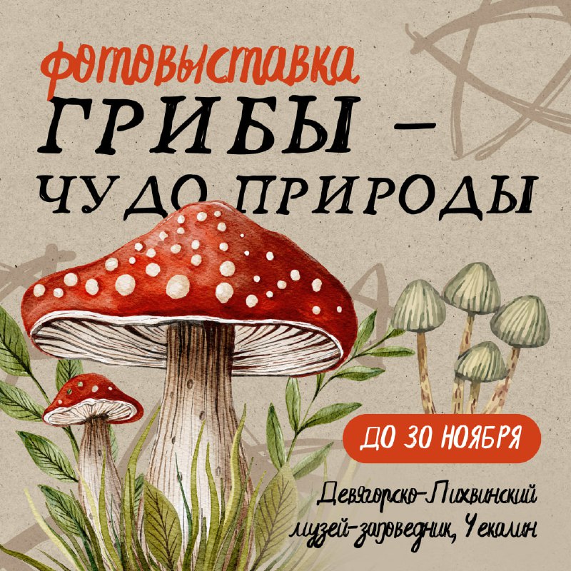 ***🍄*****В Чекалин за грибами!**