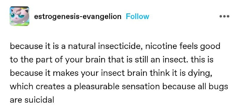 Tumblr Trash