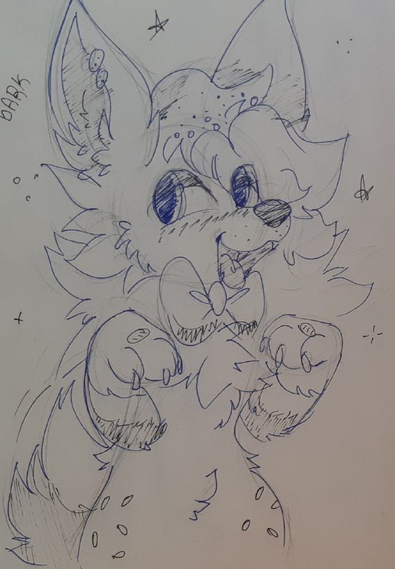 bark bark bark bark bark bark …