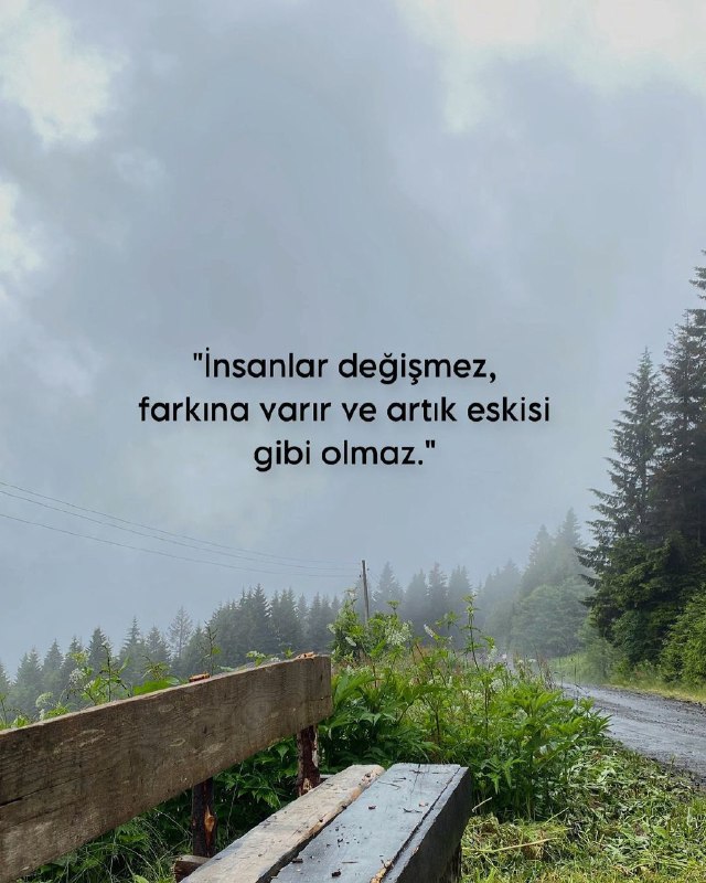 Farkına varır ....***🫳******🎋***