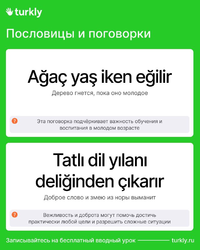 Turkly — турецкий язык