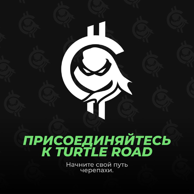 Turtle Road