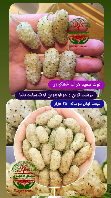 اصل خشکباری...