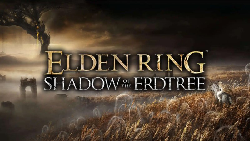 Elden Ring: il DLC può partecipare …