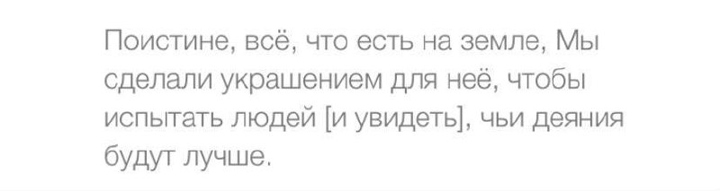 таваккуль