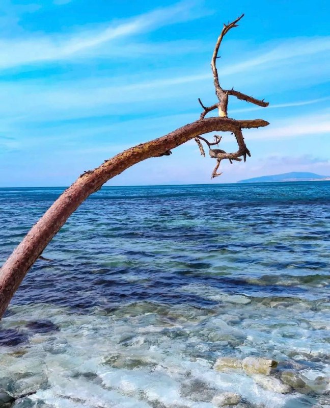 ТВОЙ ГИД 🌊АНАПА ГЕЛЕНДЖИК НОВОРОССИЙСК