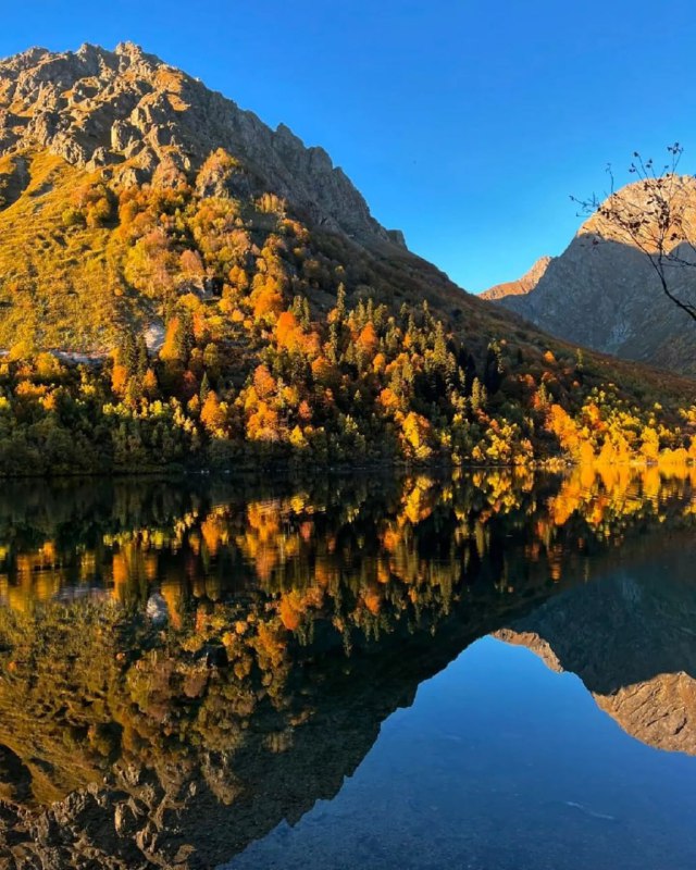 ТВОЙ ГИД 🌊 СОЧИ