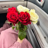 [قروب دردشه للكبار فقط ***?******?***](https://t.me/+-hQ1GCL_lbA5YTM0)