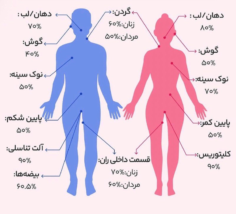 نقاط حساس بدن مردها و زن‌ها