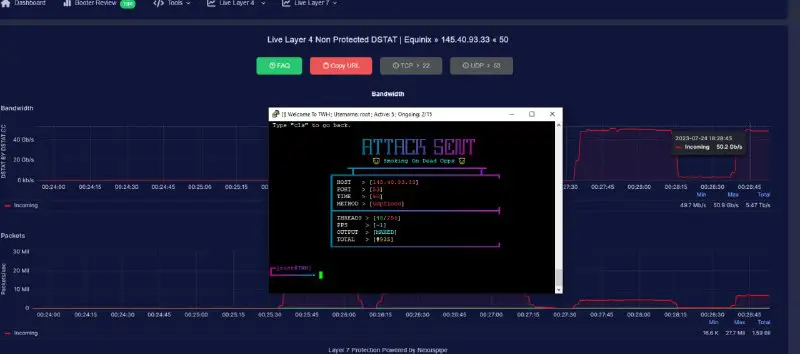 1x UDPFLOOD Maxing Out 50GB dstat