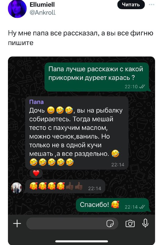 Твиттер на радужной страже