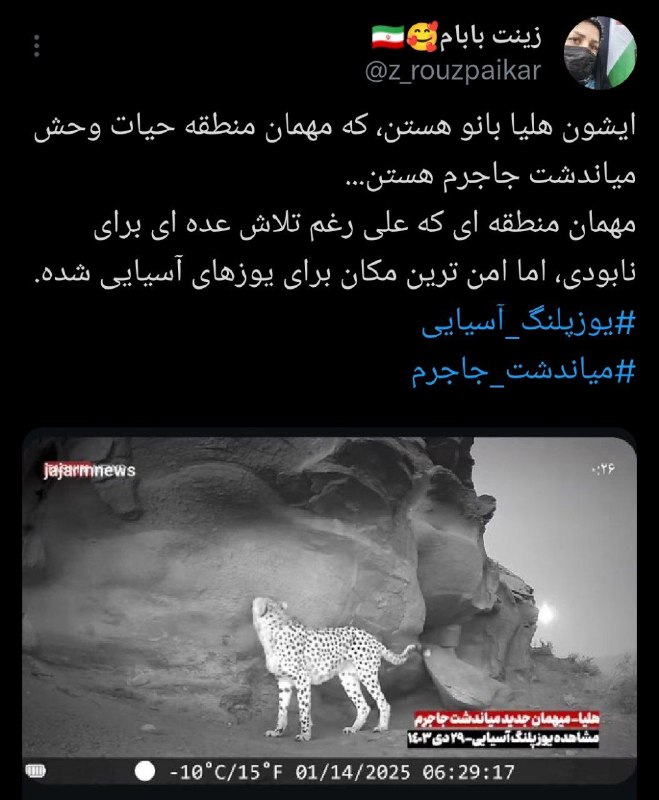 [#جاجرم](?q=%23%D8%AC%D8%A7%D8%AC%D8%B1%D9%85)