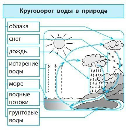 Я - Учитель начальной школы