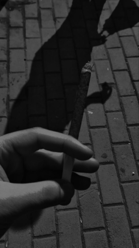 مـو كـل حـسـرة تـعـرف قـيـمـة الـدخـان