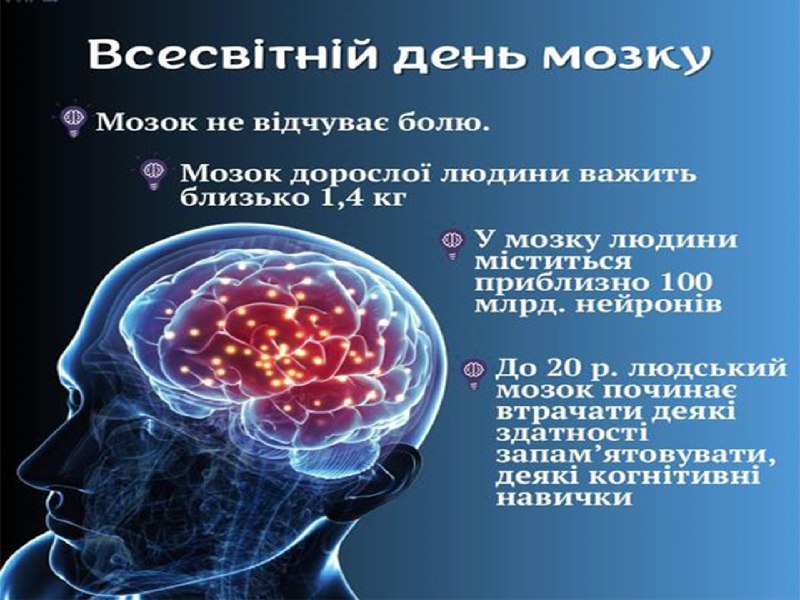 Як стати розумнішим: 5 способів тренувати …