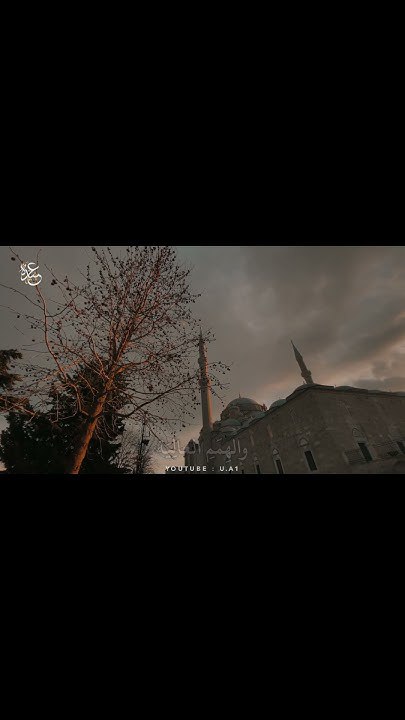 عبيدة الكردي