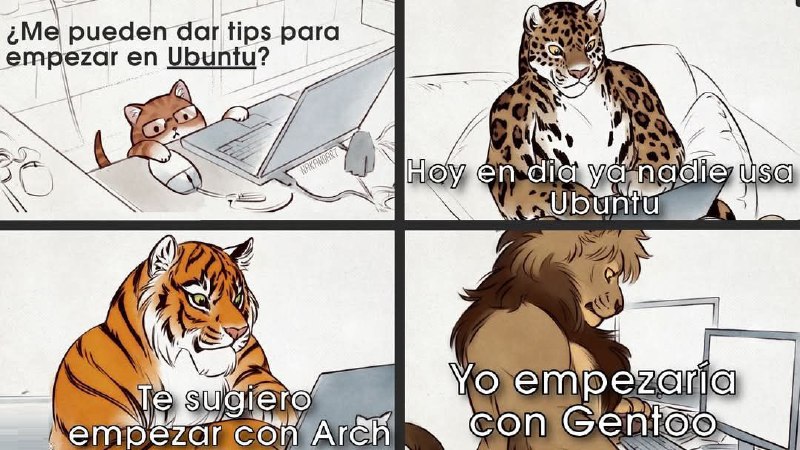 Dónde están los gatos que aún …