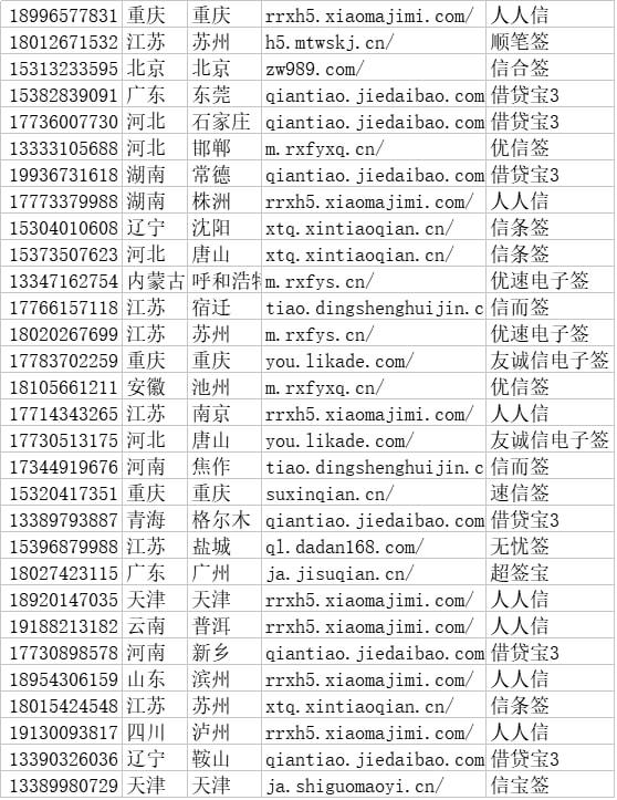 借条数据 实时 隔天