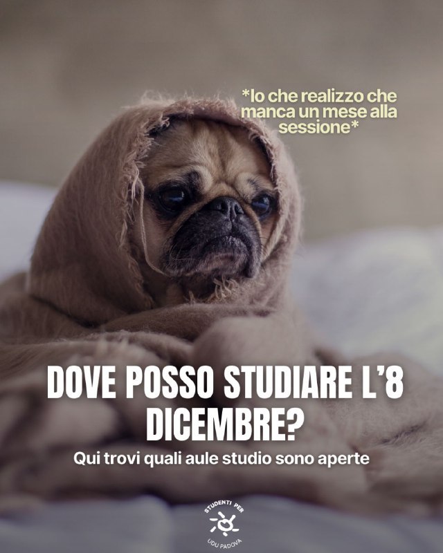 [Aule studio aperte l’8 dicembre!](https://www.instagram.com/p/DDPQ7z4I1fW/?img_index=1&amp;igsh=OWRmZHdsaGpxeDZj)