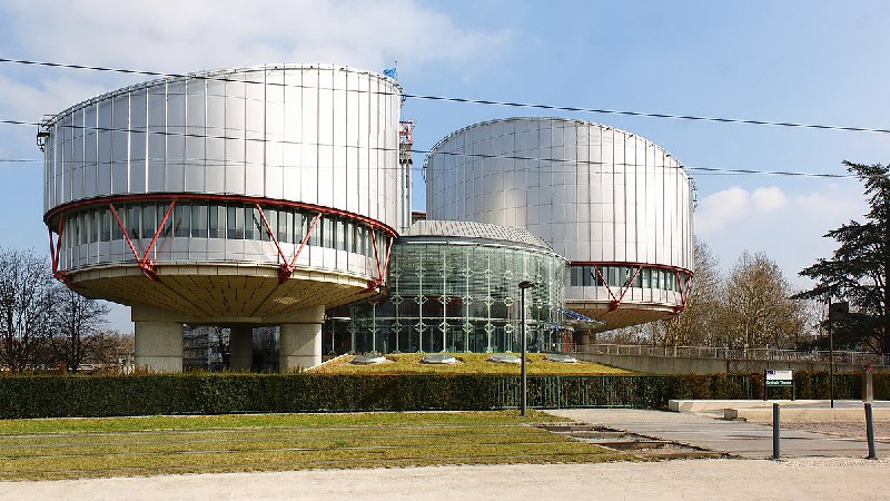 **der** [**Europäische Gerichtshof für Menschenrechte (EGMR)**](http://de.wikipedia.org/wiki/Europ%C3%A4ischer_Gerichtshof_f%C3%BCr_Menschenrechte) …