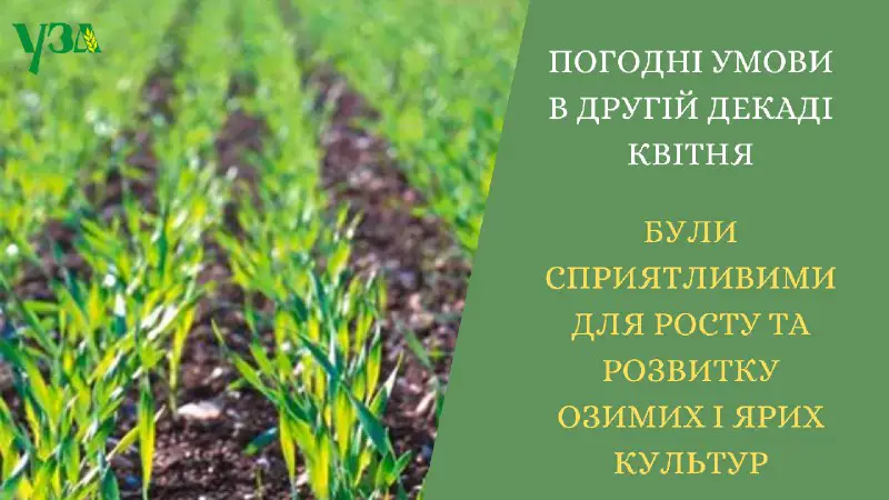 «Агрометеорологічні умови в Україні у більшості …