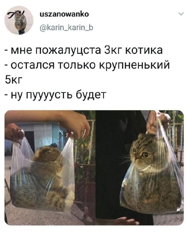 Уткогорлонос