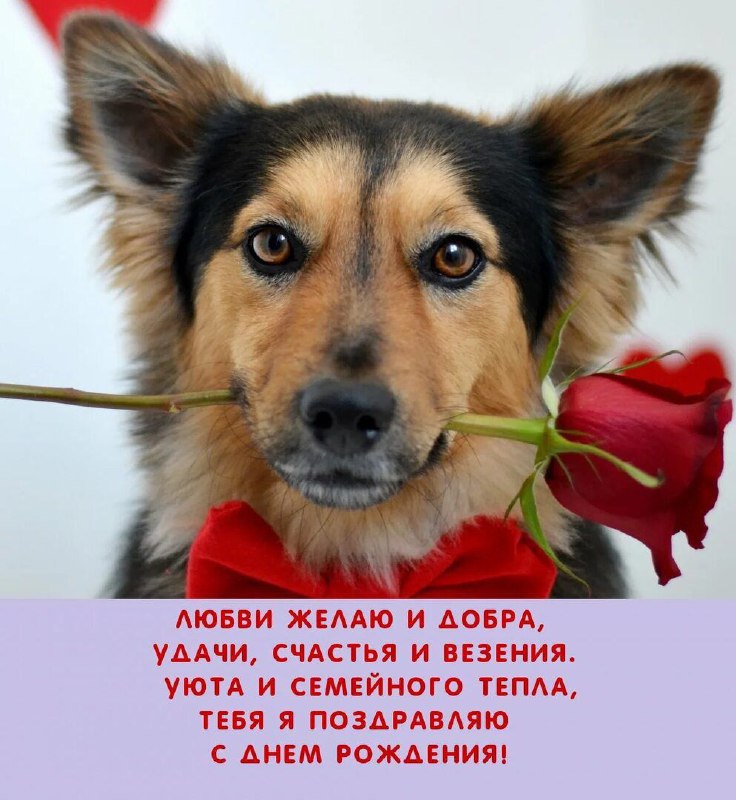 УГОЛОК ОТКРЫТОК 💝