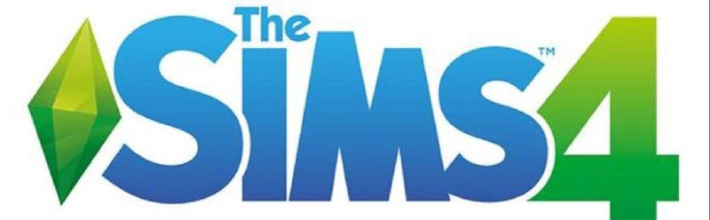 Workbook “The Sims”