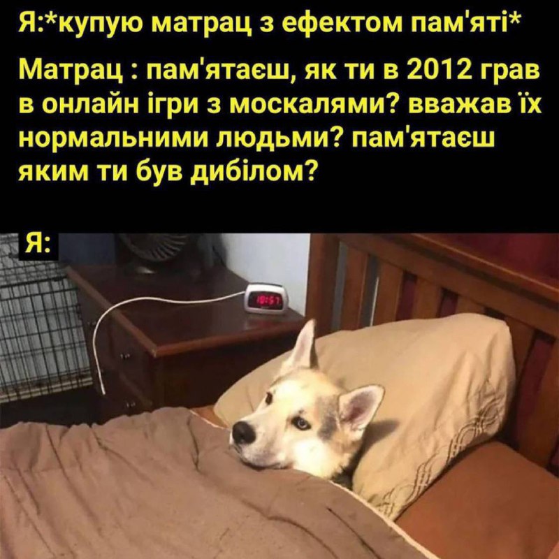 Нашо я про це подумав|Батьківщиненко|Потужно