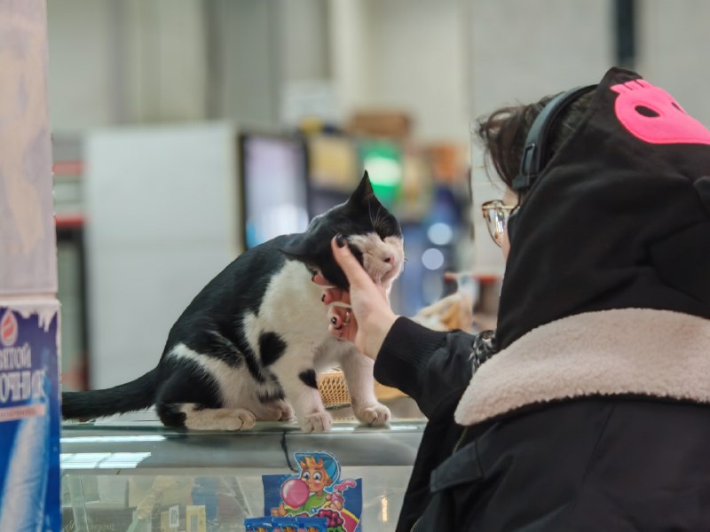 Я принцесса диснея !!! Или пират …