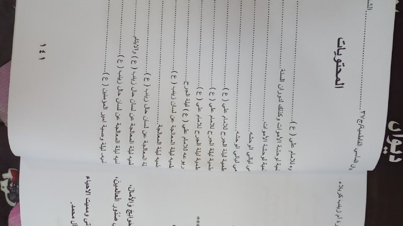 الشاعرة ام زينب كربلاء