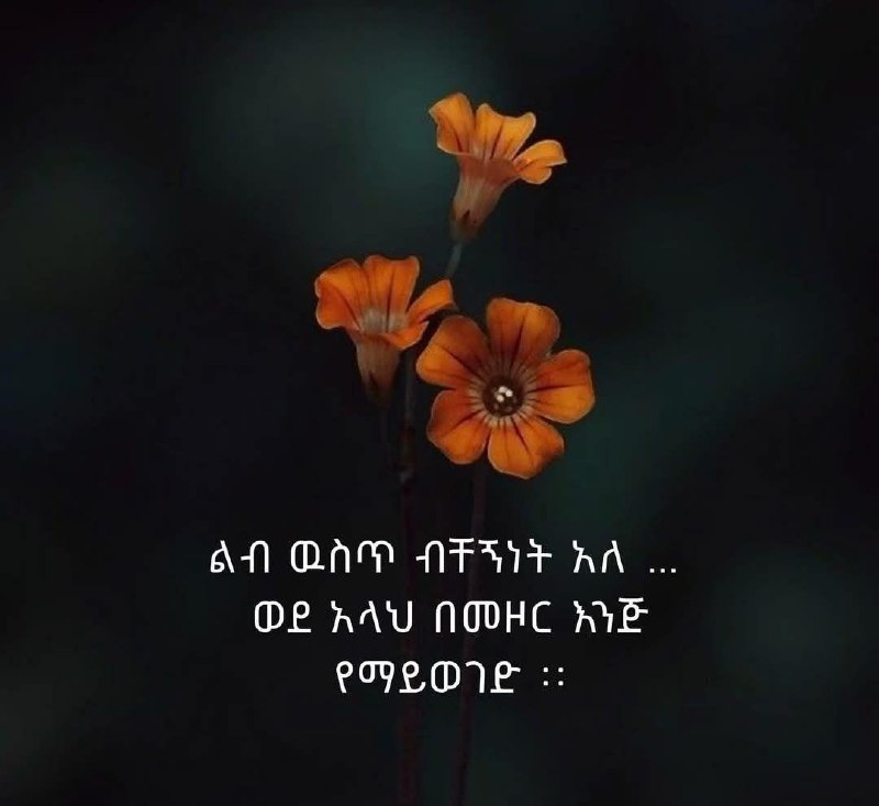 ***?***[**አሏህን በማግኘት እንጂ