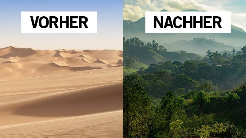 Die Unbestechlichen ✔️© ▶️ Direkte Demokratie-jetzt??