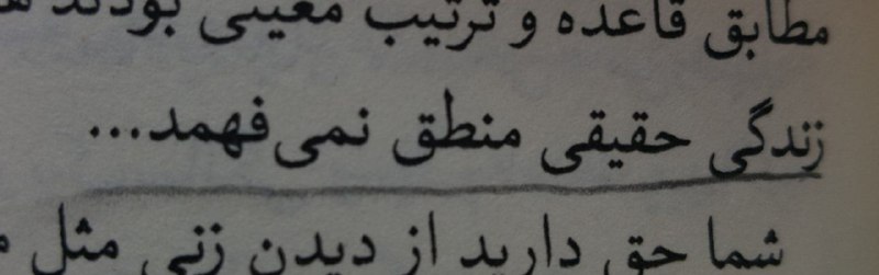 زیر درخت بید