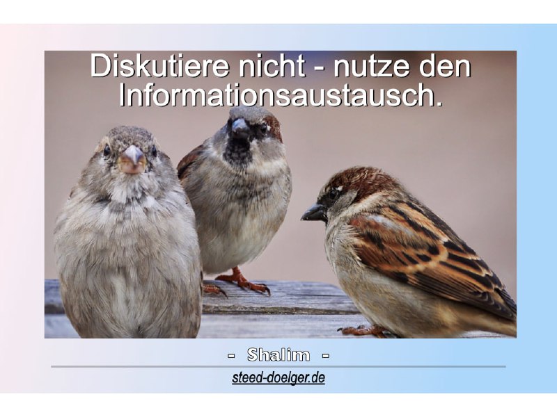 **Spruch des Tages 27.01.2025**===