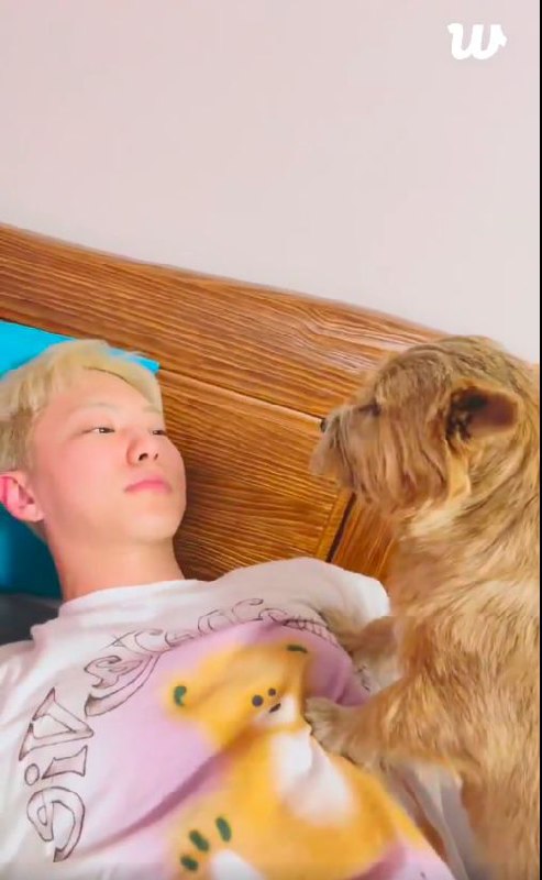 250129 HOSHI was live on WEVERSE!