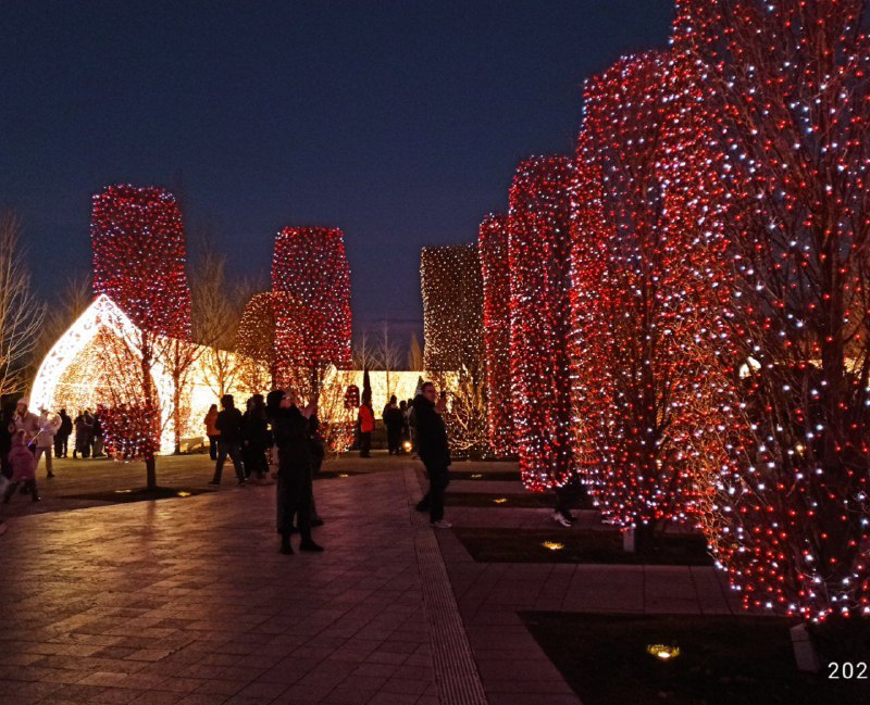 Городской дизайн (Urban design)