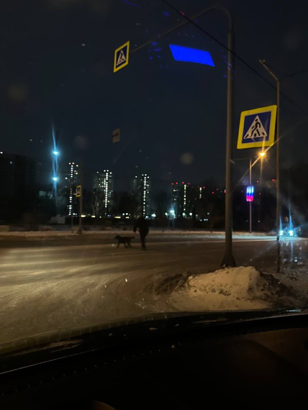 Урбан мама