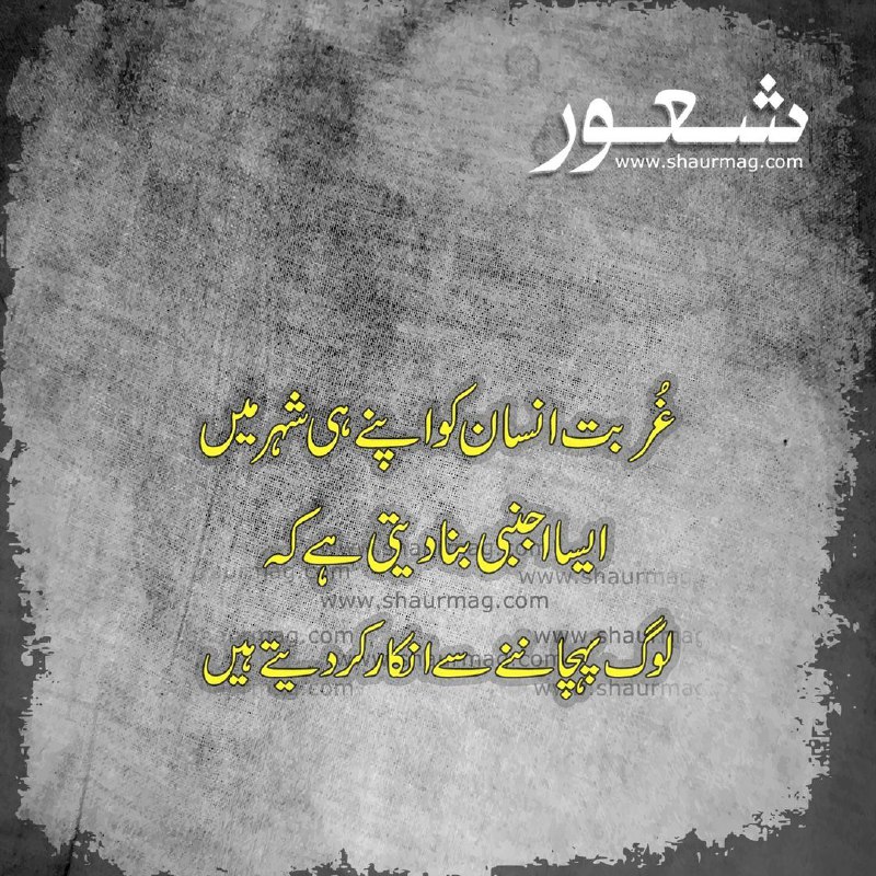 ◉✿ Urdu Motivations ✿◉