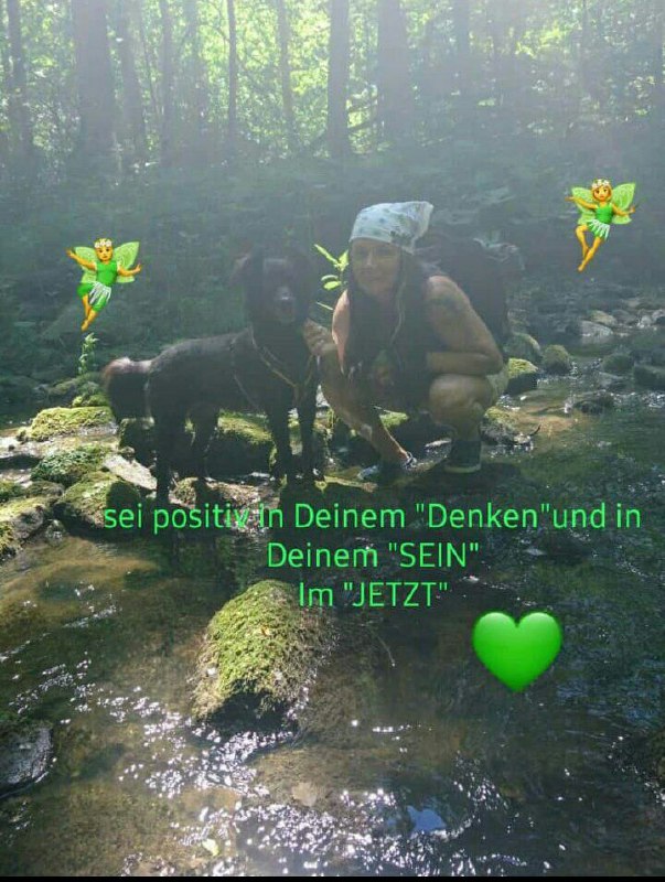 Die Urheilkräfte der Natur 🔥💦🪶🌳