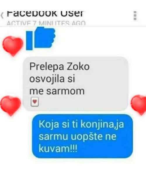 ***🚶‍♂️*** **"Izmedјu kuce i mene nije …